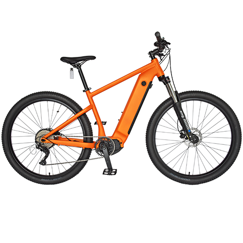 E-BIKE